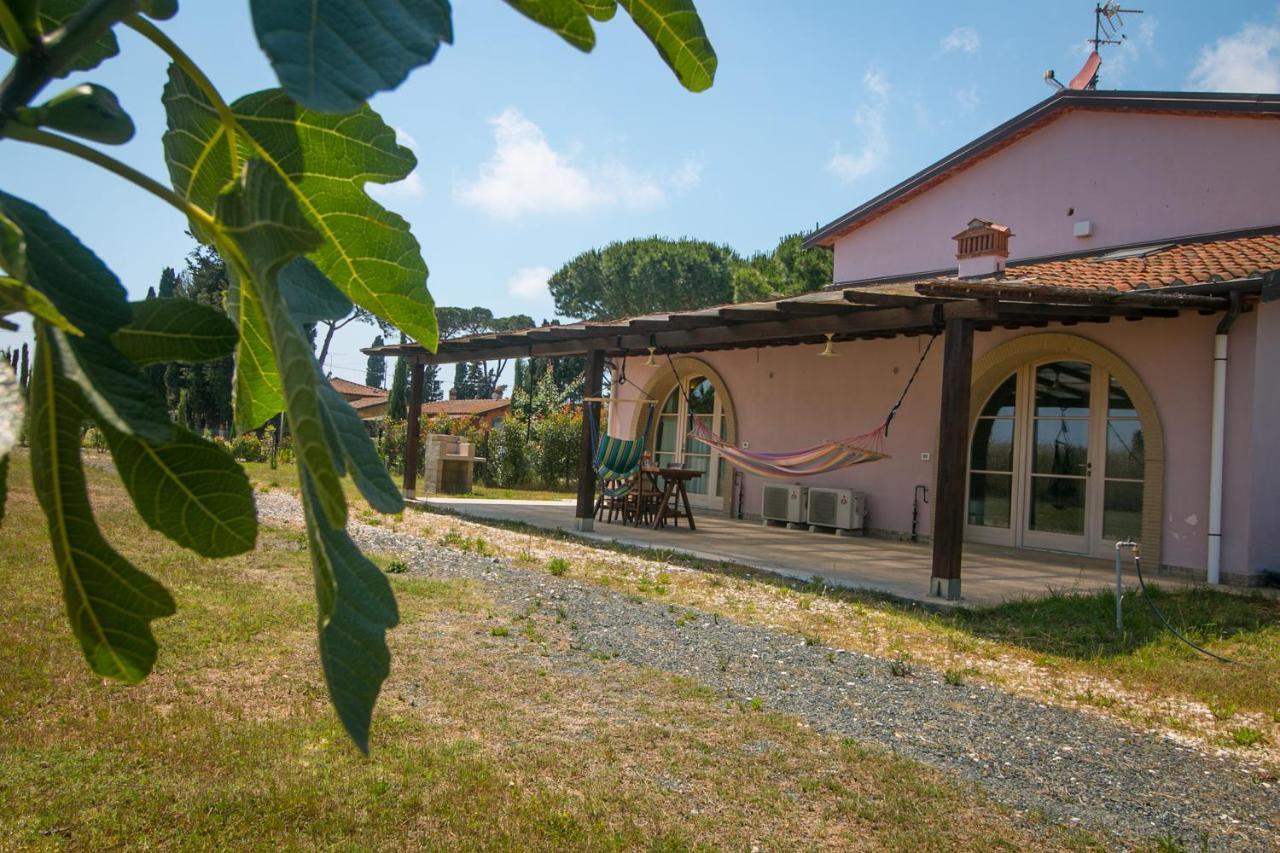 Fattoria Palazzeta - Pet & Family Friendly Aparthotel Cecina  Exteriör bild