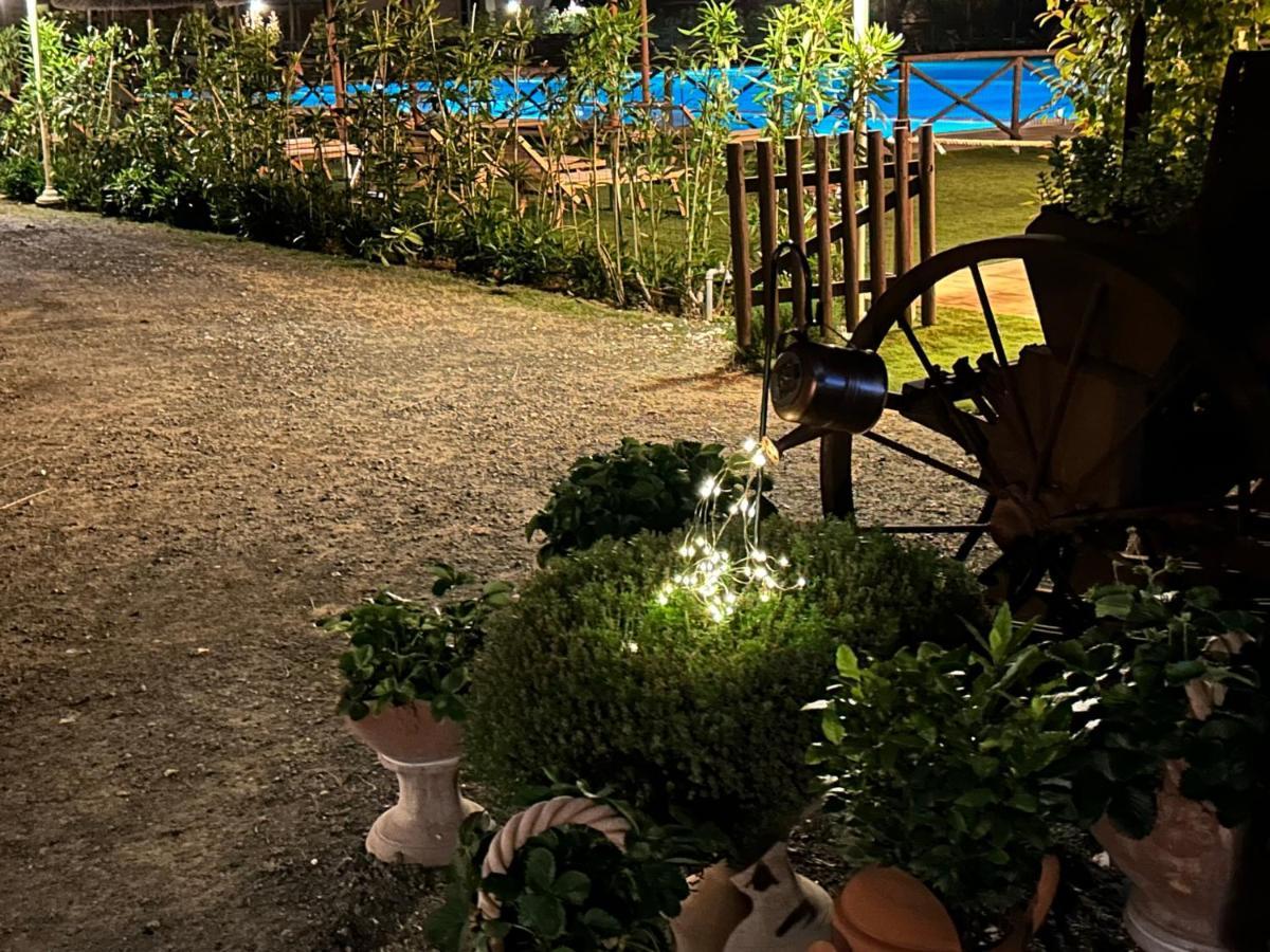 Fattoria Palazzeta - Pet & Family Friendly Aparthotel Cecina  Exteriör bild