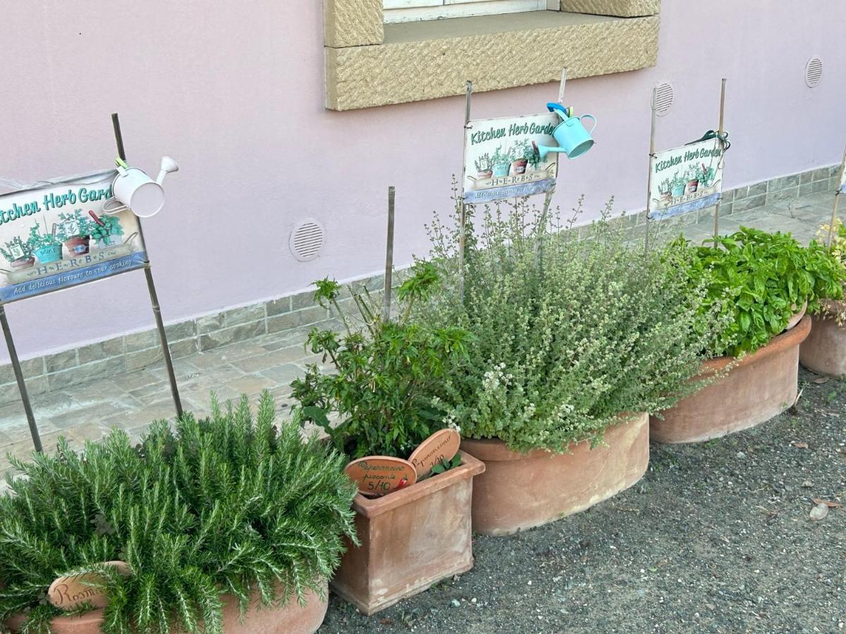 Fattoria Palazzeta - Pet & Family Friendly Aparthotel Cecina  Exteriör bild