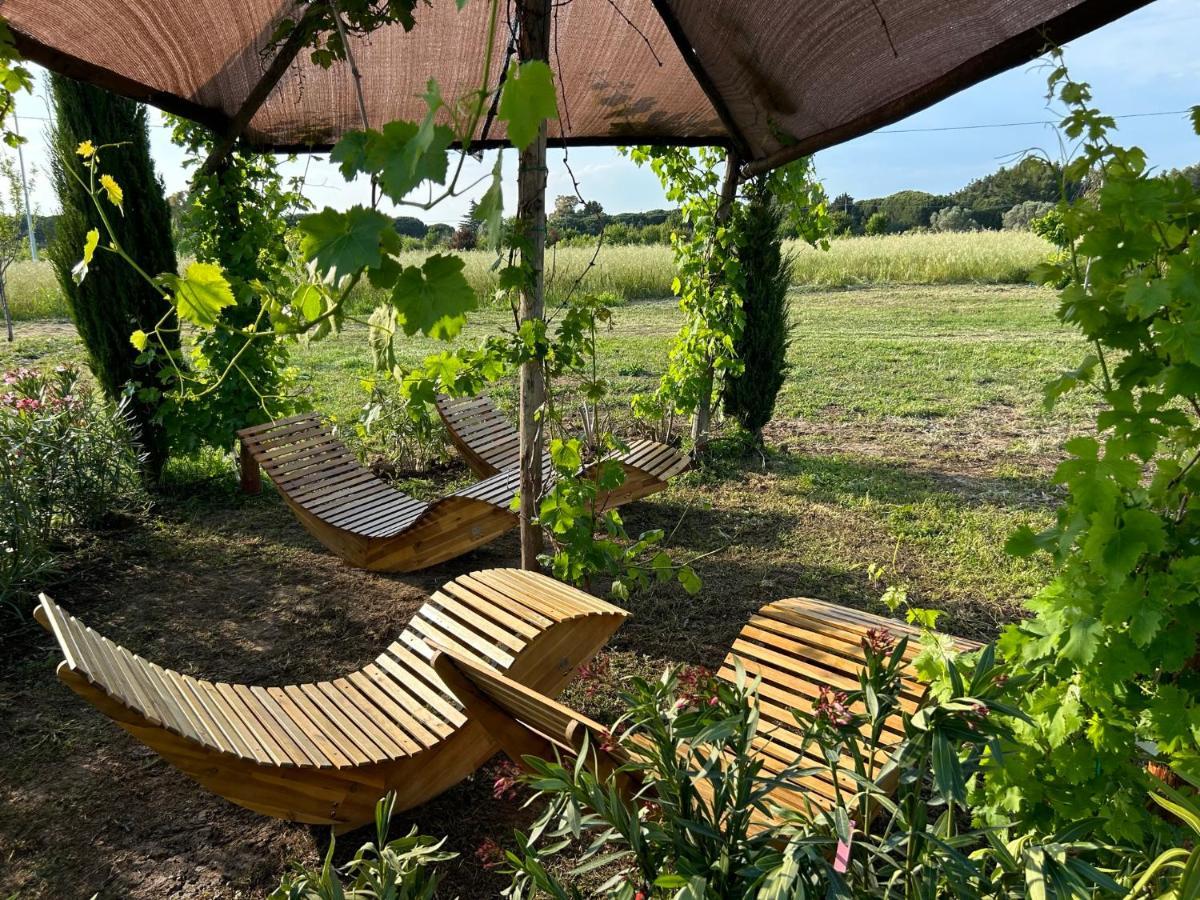 Fattoria Palazzeta - Pet & Family Friendly Aparthotel Cecina  Exteriör bild